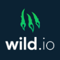 Wild.io Crypto casino